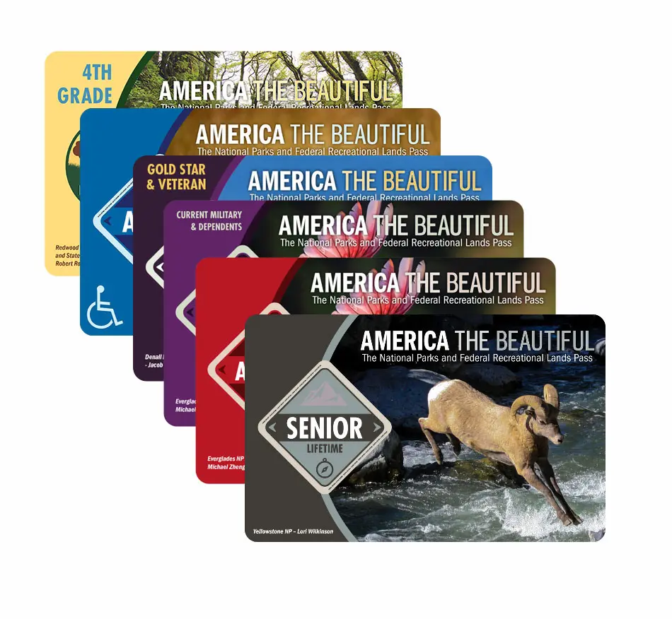 America the Beautiful pass logo.